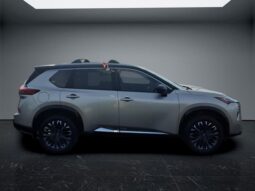 
 Nissan Rogue full									
