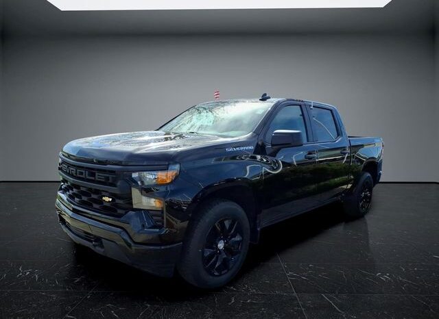 
 Chevrolet Silverado 1500 full									