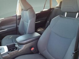 Toyota RAV4 Hybrid full