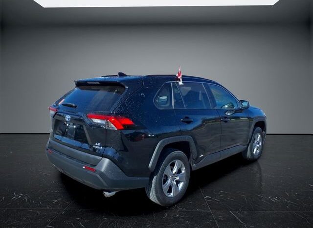 
 Toyota RAV4 Hybrid full									