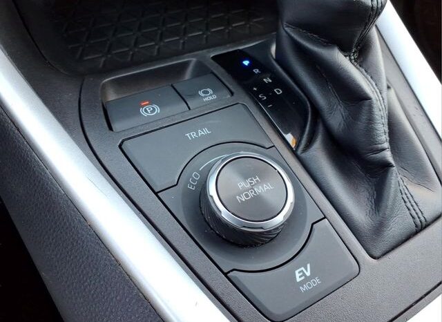 
 Toyota RAV4 Hybrid full									