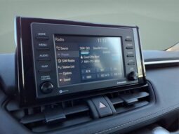 Toyota RAV4 Hybrid full