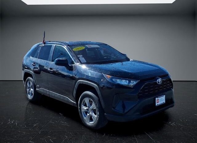 
 Toyota RAV4 Hybrid full									