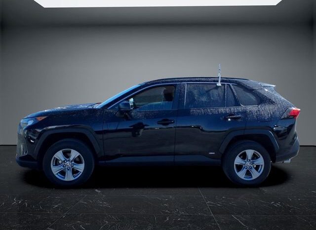 
 Toyota RAV4 Hybrid full									
