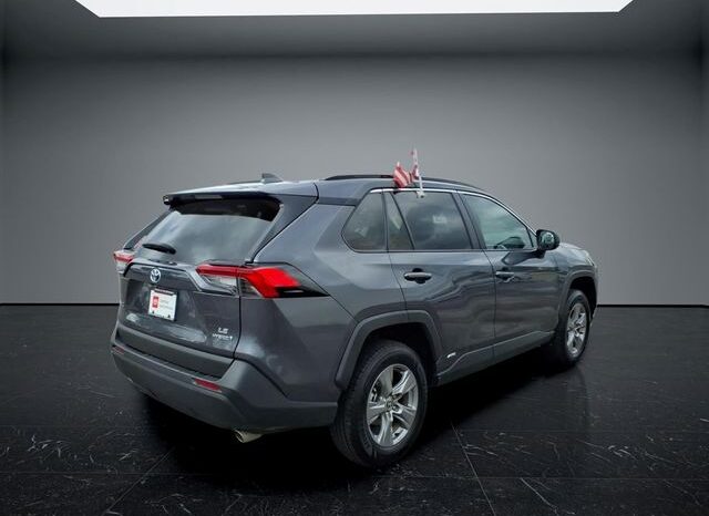 
 Toyota RAV4 Hybrid full									