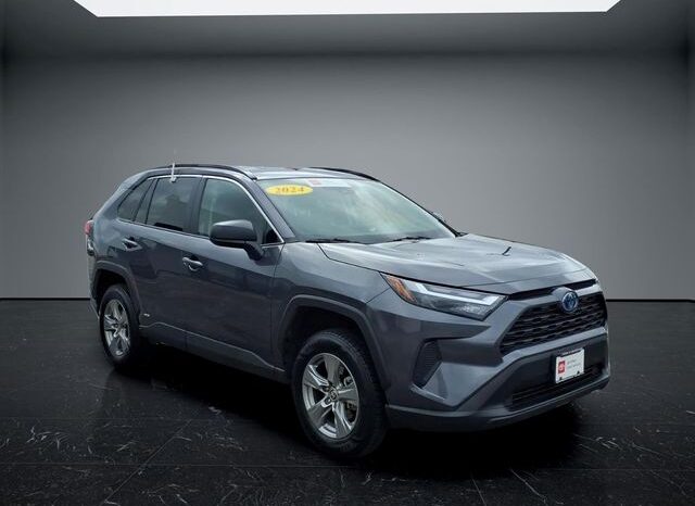 
 Toyota RAV4 Hybrid full									