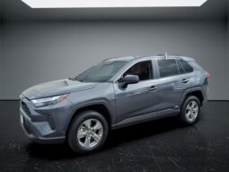 
 Toyota RAV4 Hybrid full									
