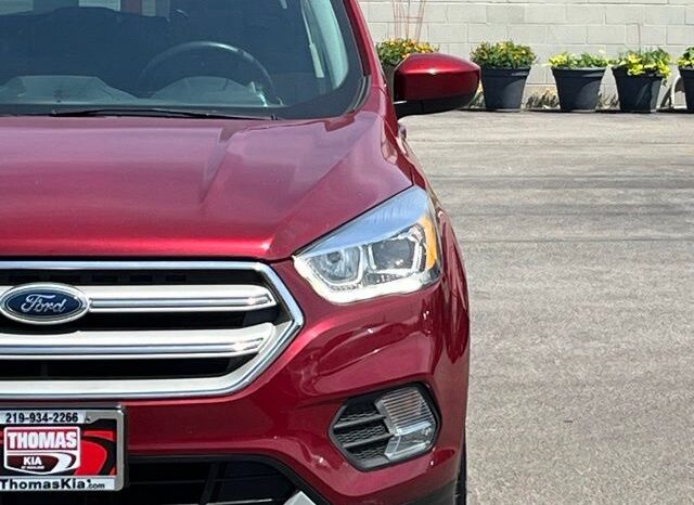 
 Ford Escape full									