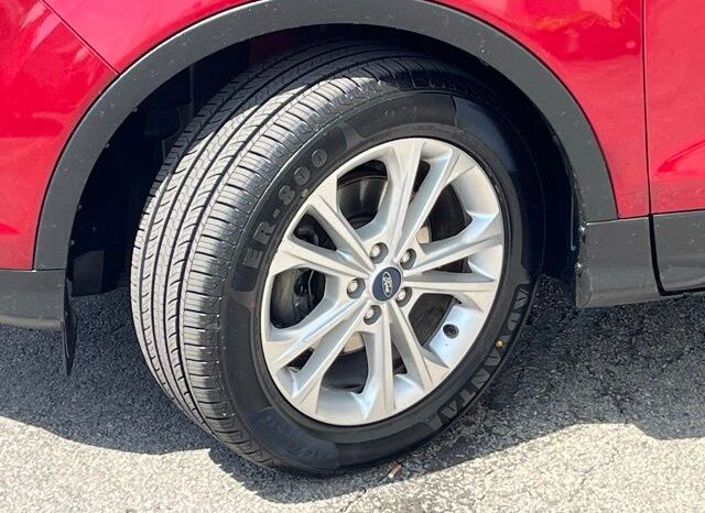 
 Ford Escape full									