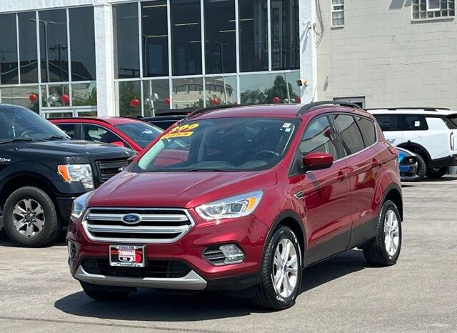
 Ford Escape full									