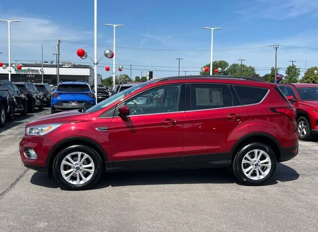 
 Ford Escape full									
