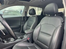 
 Kia Niro full									