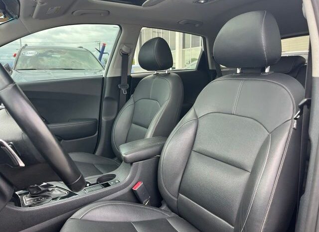 
 Kia Niro full									