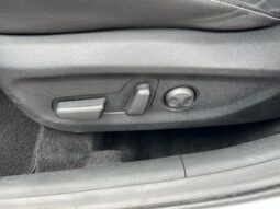 
 Kia Niro full									