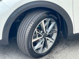 
 Kia Niro full									