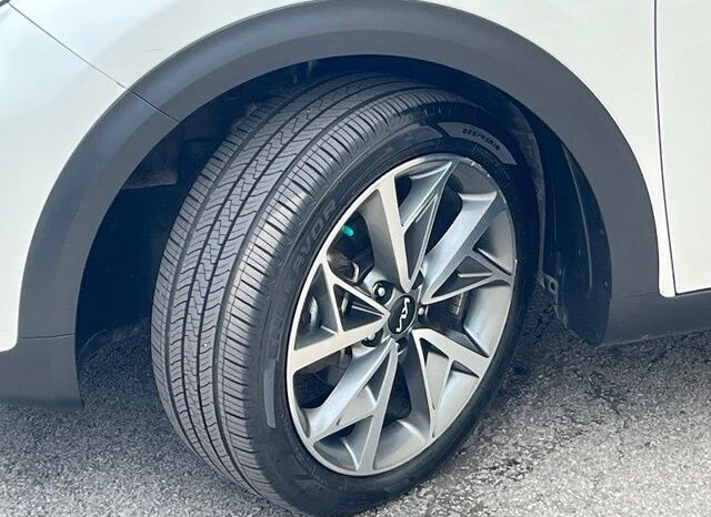 
 Kia Niro full									