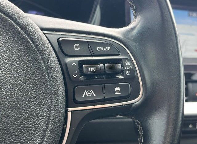 
 Kia Niro full									