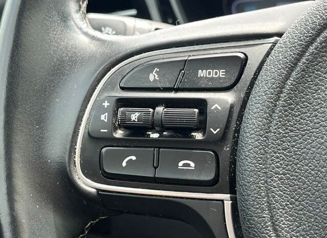 
 Kia Niro full									