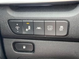 
 Kia Niro full									