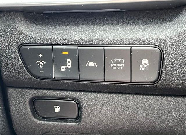 
 Kia Niro full									