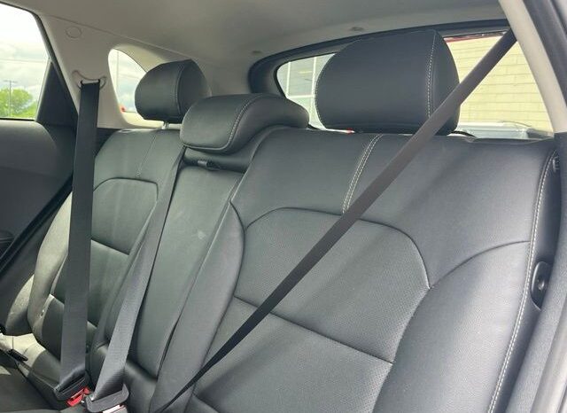 
 Kia Niro full									