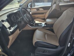 
 Kia Carnival full									