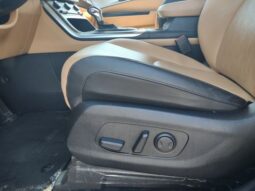
 Kia Carnival full									