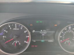 
 Kia Carnival full									