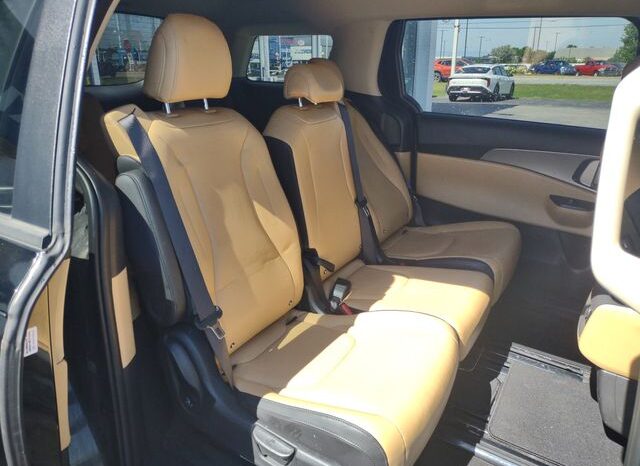 
 Kia Carnival full									