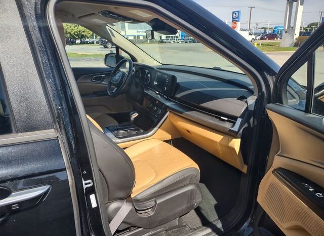 
 Kia Carnival full									