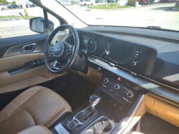 
 Kia Carnival full									