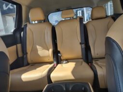 
 Kia Carnival full									