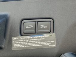 Kia Telluride Hybrid full