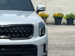 
 Kia Telluride full									