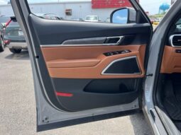 
 Kia Telluride full									
