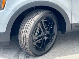 
 Kia Telluride full									