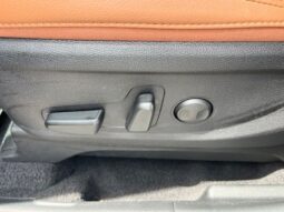 
 Kia Telluride full									