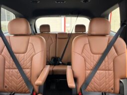 
 Kia Telluride full									