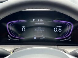 
 Kia Telluride full									