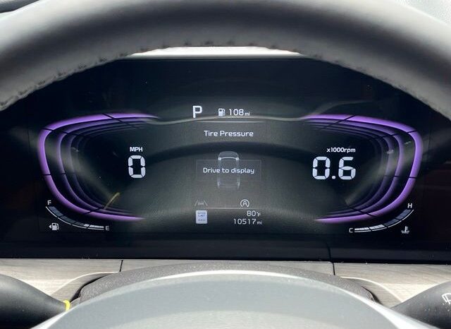 
 Kia Telluride full									