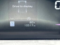 
 Kia Telluride full									
