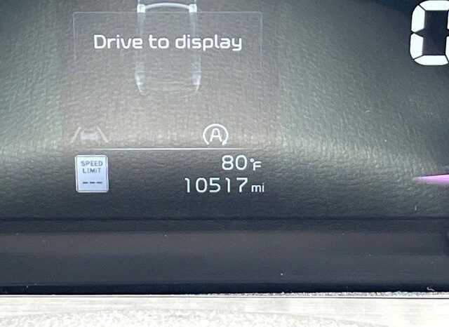 
 Kia Telluride full									