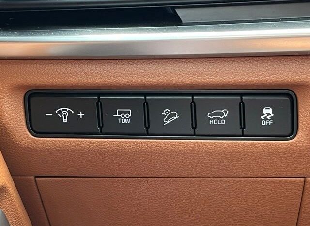 
 Kia Telluride full									