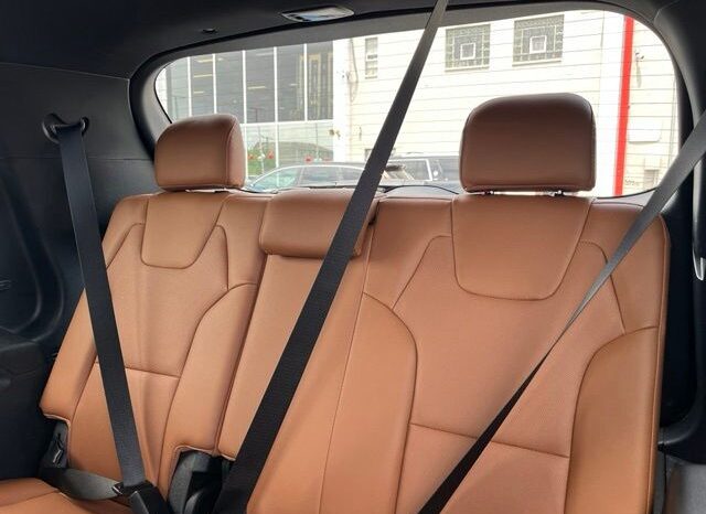 
 Kia Telluride full									