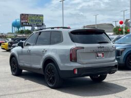 
 Kia Telluride full									