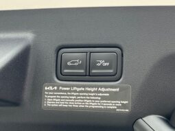 
 Kia Telluride Hybrid full									