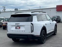 
 Kia Telluride Hybrid full									