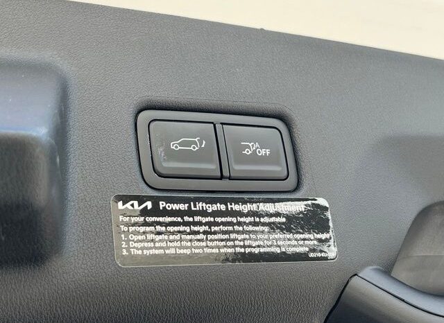 
 Kia Telluride full									