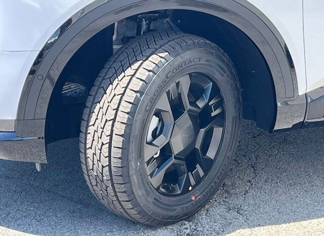 
 Kia Telluride full									