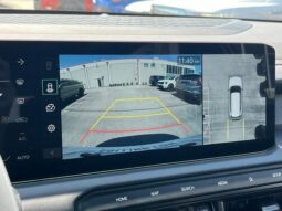 
 Kia Telluride full									